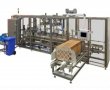 Automatic Case Packer Machine