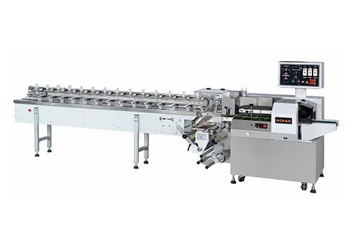 Lower-Reel Horizontal Flow Wrapper D-TYPE 