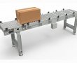 Моторизованный роликовый конвейер PTC