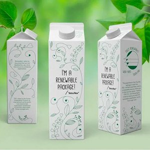 Ученые Пермского Политеха нашли инновационный способ переработки продуктовых картонных упаковок Тетра-Пак