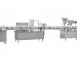 Plastic/Glass Bottle Filling Stoppering & Sealing Line (50-250ml) 