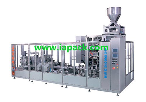 ZTV-N2-500 Automatic Vacuum Packaging Machine Unit 