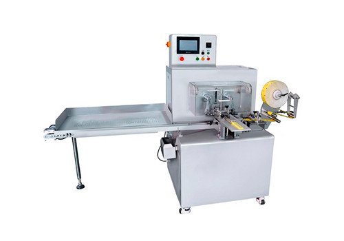 Envelope Type Wrapping Machine BW-600