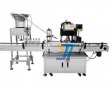 Automatic Glass Jar Cans/Bottle Cap Blocking Machine 
