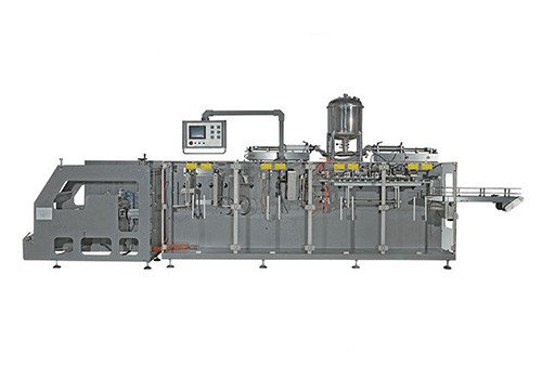 DS-180SZ Horizontal Stand Up Pouch Packing Machine