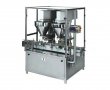 Double Head Auger Powder Filling Machine 
