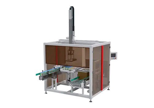 ZX-Z10 Grab Type Case Packing Machine