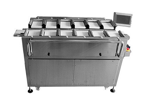 12 Belt Combination Weigher TY-1A-DZ-P1216-101 