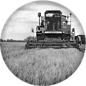 Кубань, Москва и Воронежская область — лидеры по эффективности работы АПК: рейтинг аналитиков