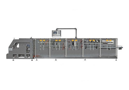 DS-240SXC Horizontal Doypack Filling Packing Machine