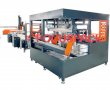 Multi-function Carton Packing System