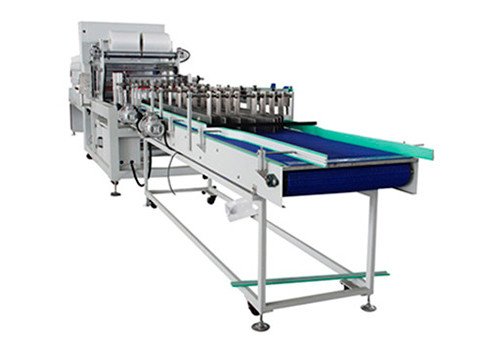 ROY-30B High Speed Double Chanel Shrink Wrap Packing Machine