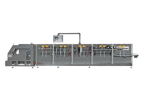 DS-280DSC Horizontal Form Fill Seal Doypack Packing Machine
