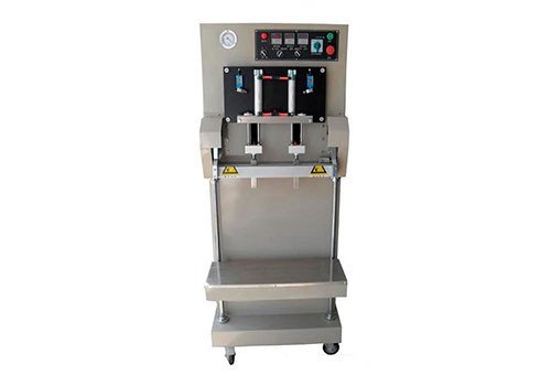 DZQ-600L/S Многофункциональная вакуумная упаковочная машина с внешним насосом