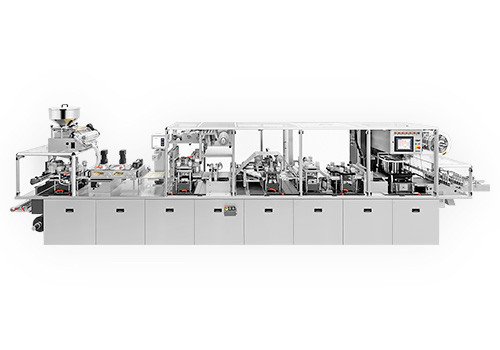 Блистерная упаковочная машина HM V6TR для тропических продуктов