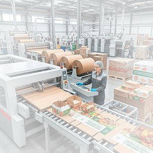 На Кубани в производство упаковочной продукции вложат 900 млн руб.