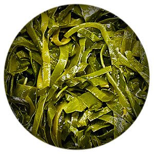 В Карелии планируют запустить производство детского и лечебного питания из водорослей