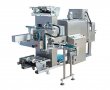 BMD-600B