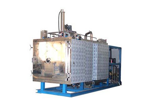 Вакуумный Лиофилизатор FD-10L