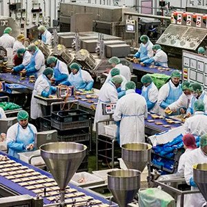 Ставрополье создает и модернизирует более 20 предприятий пищепрома