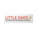 Little David