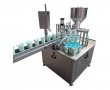 Rotary Cup Filling Sealing Machine