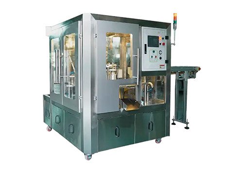Машина для упаковки в готовые пакеты BRS-4S