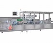 GGS-240 (P10)