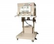 Vertical Vacuum Packing Machine